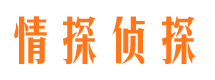 洛龙情探私家侦探公司